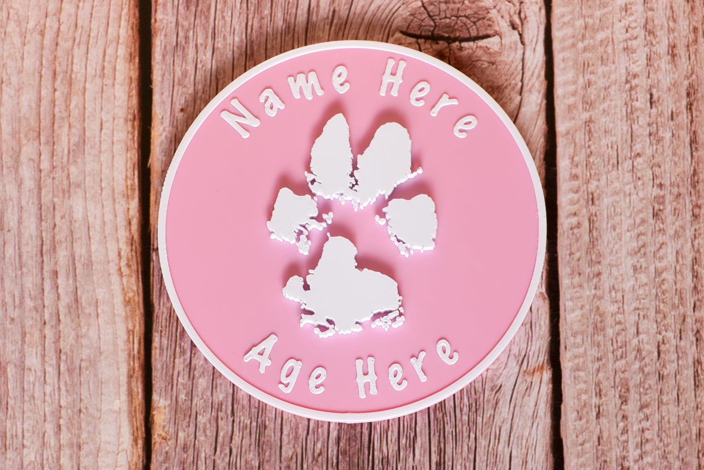 Personalised 3D Dog Paw Print Standing Plaque